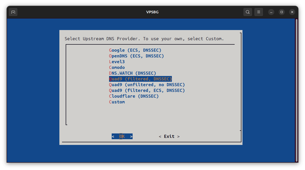 select DNS
