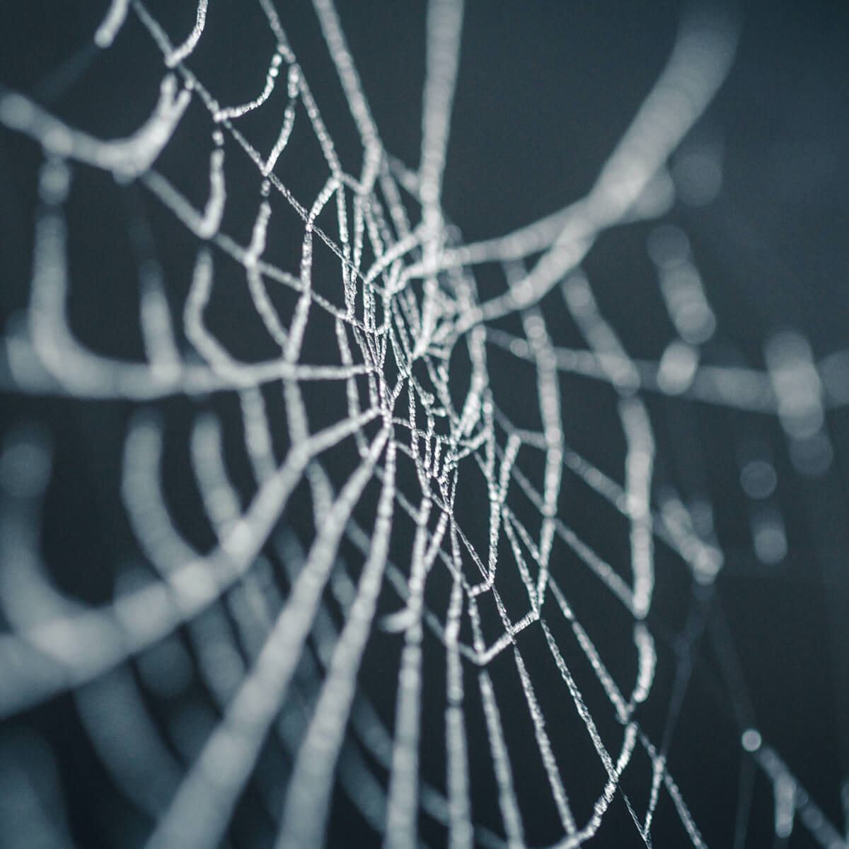 image of a web
