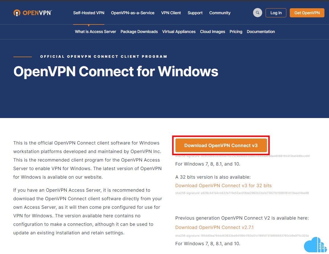 download the OpenVPN user client